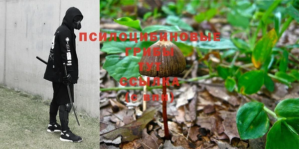 каннабис Аркадак