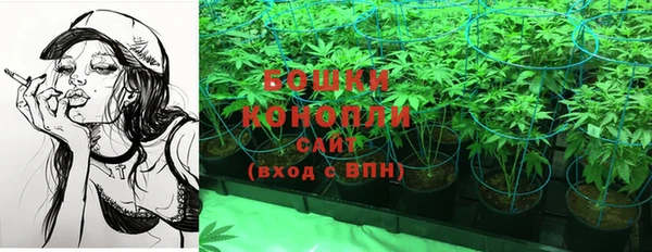 винт Ветлуга