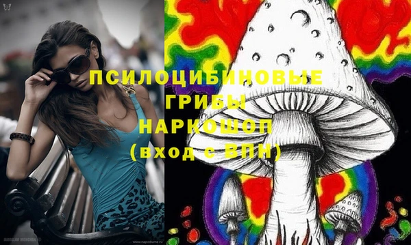 амф Видное